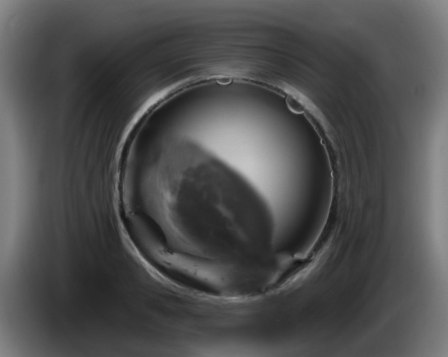 X0000086100941200703301211