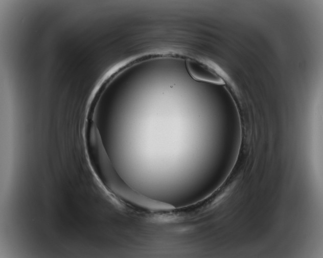 X0000086100943200703301212