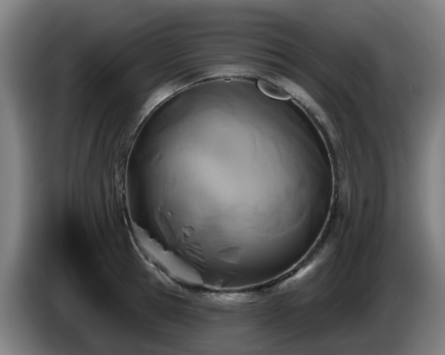 X0000086100945200703301212