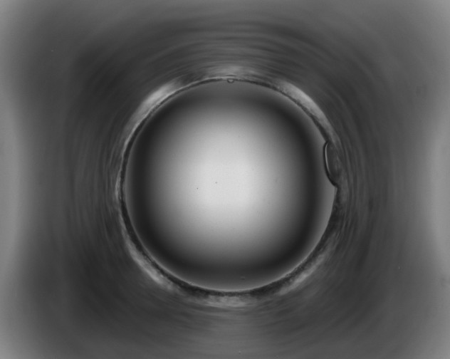 X0000086100946200703301212