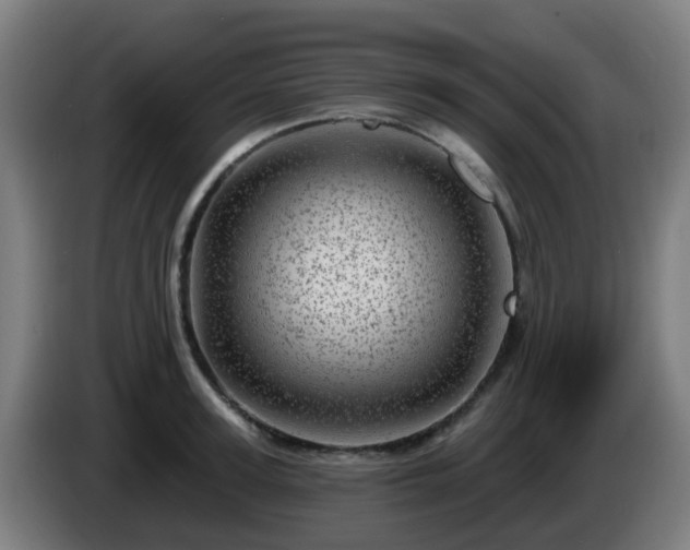 X0000086100947200703301212