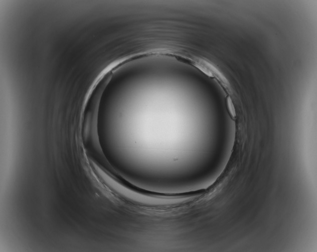 X0000086100948200703301212