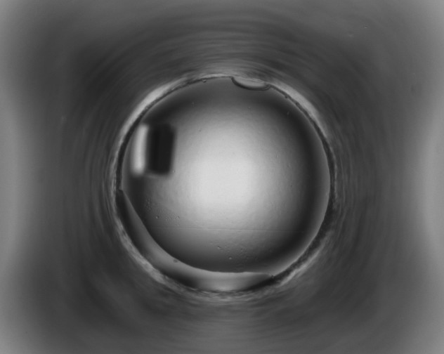 X0000086100949200703301212