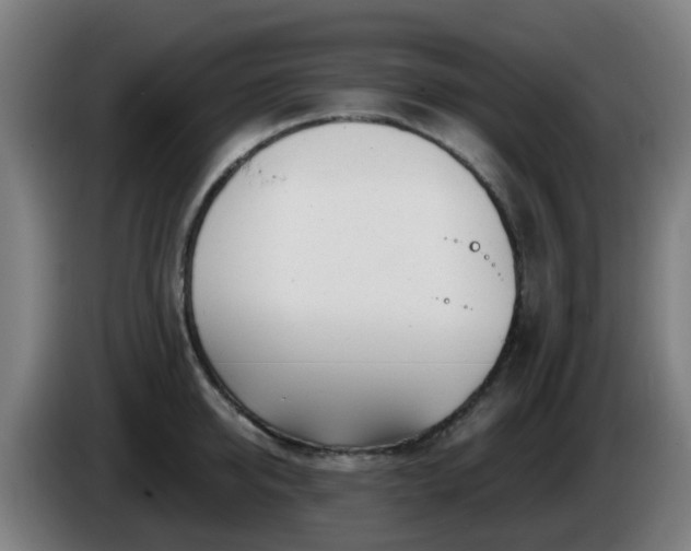 X0000086100950200703301212