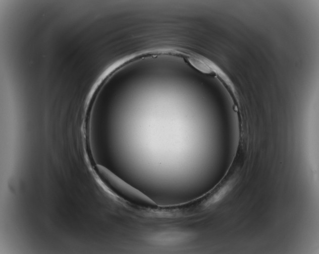 X0000086100951200703301212