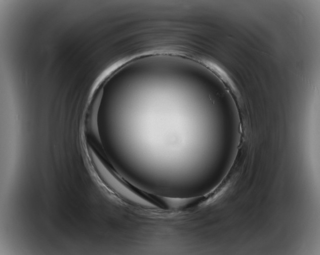 X0000086100952200703301212