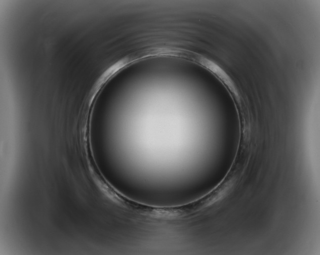 X0000086100954200703301212