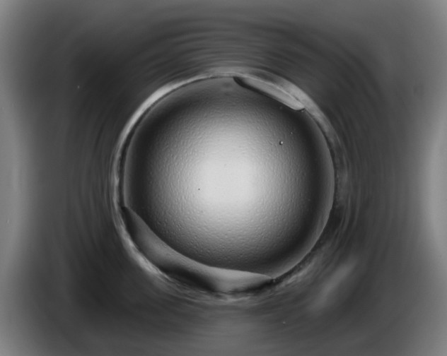 X0000086100955200703301212