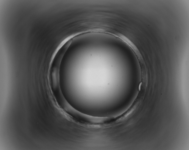 X0000086100956200703301212