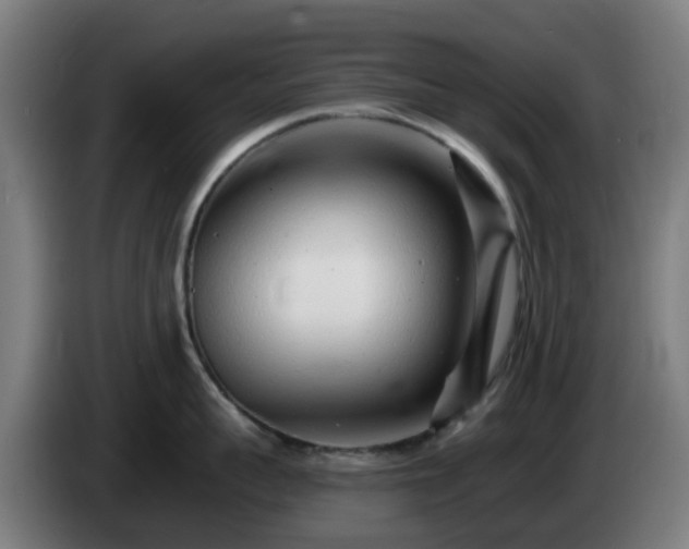 X0000086100959200703301212