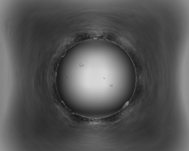 X0000086100961200703301211