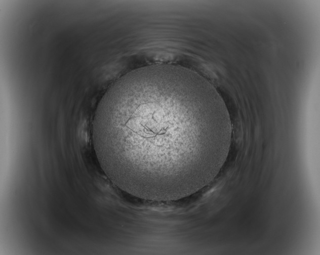 X0000086100962200703301211
