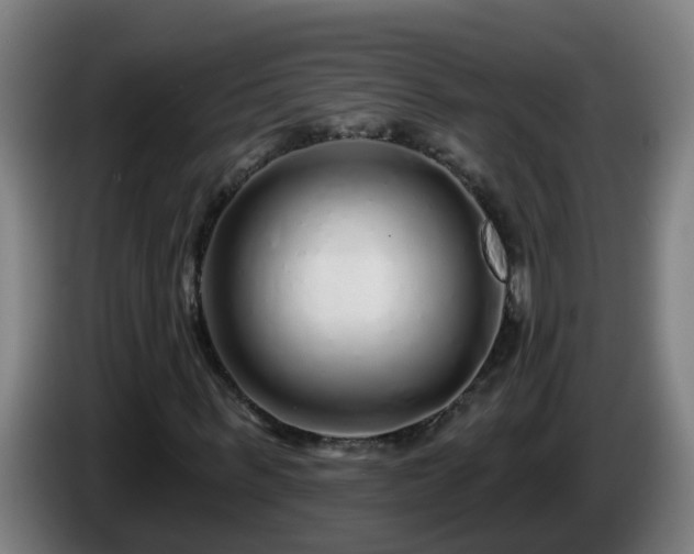 X0000086100963200703301211