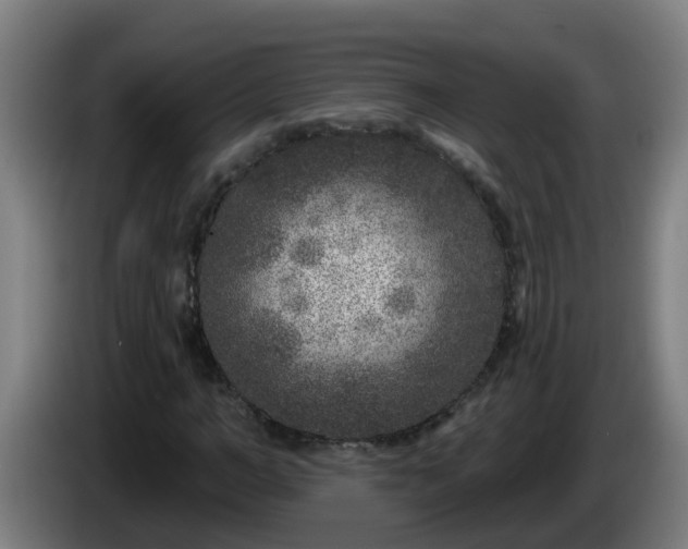 X0000086100966200703301211