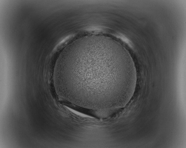 X0000086100967200703301211