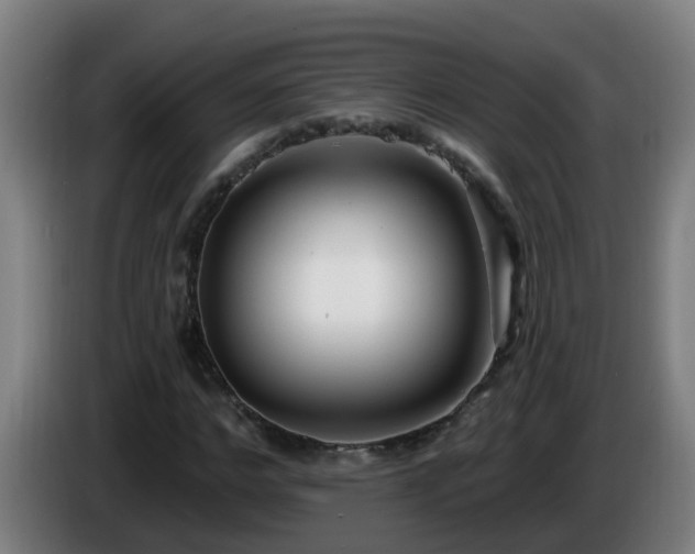 X0000086100968200703301211
