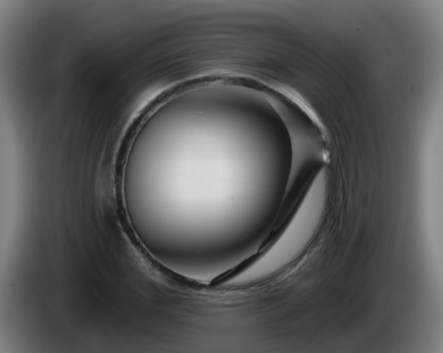 X0000086100972200703301211