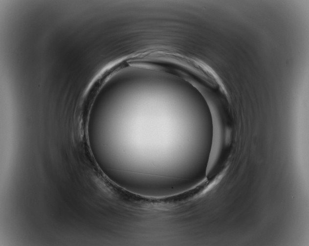 X0000086100973200703301211