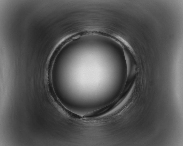 X0000086100976200703301211