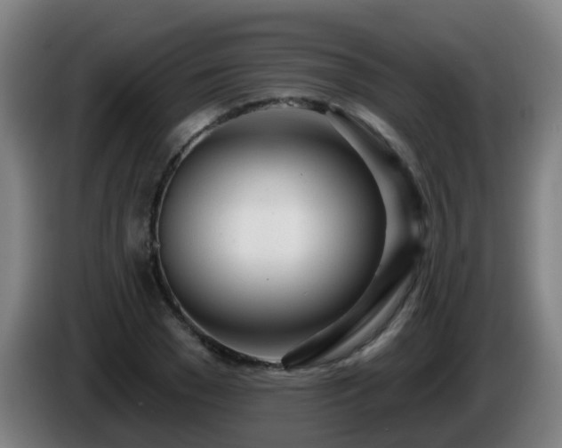 X0000086100977200703301211