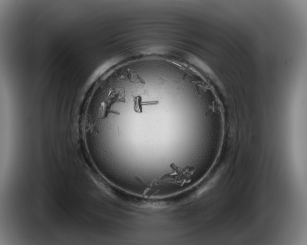 X0000086100978200703301211