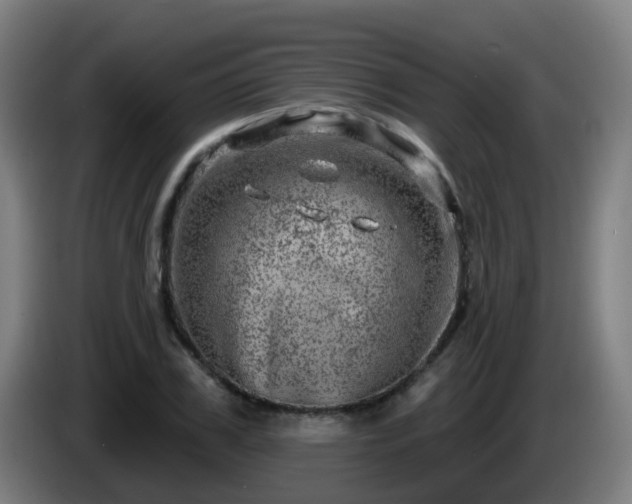 X0000086100979200703301211
