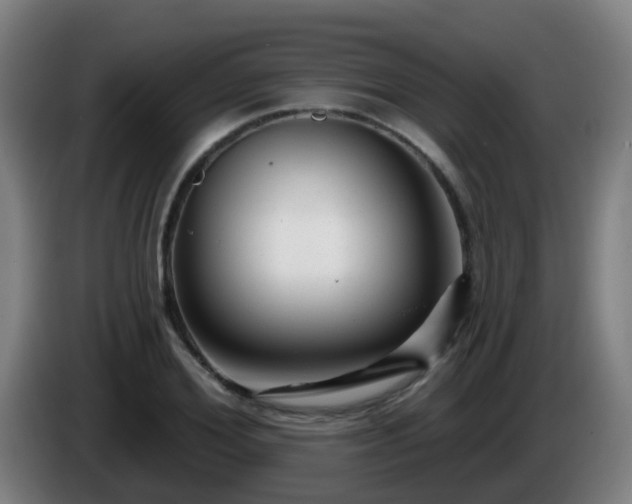 X0000086100980200703301211