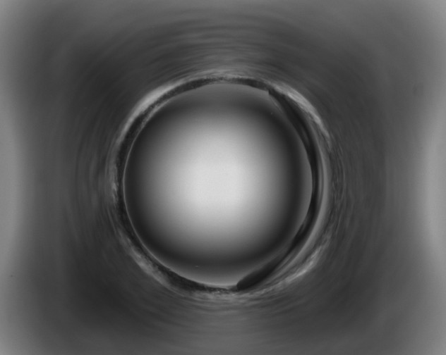 X0000086100981200703301211