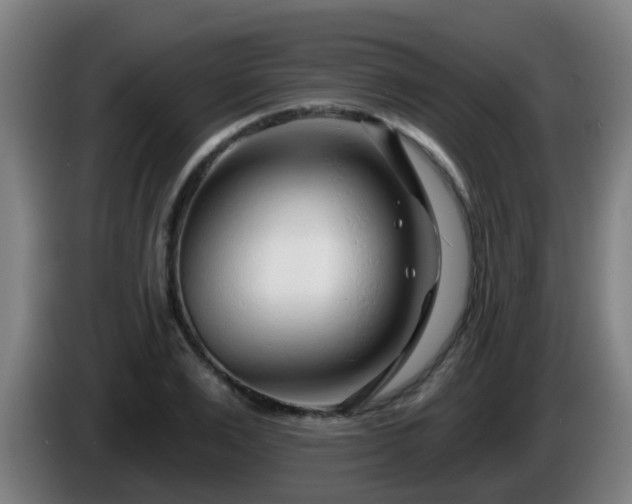 X0000086100983200703301211