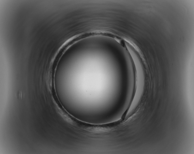 X0000086100984200703301211