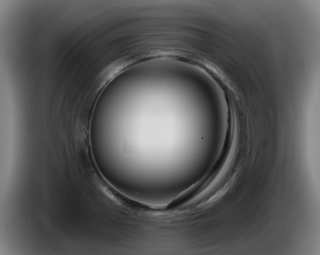 X0000086100985200703301211