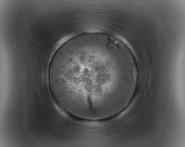 X0000086100986200703301211