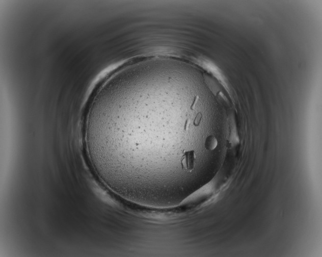 X0000086100987200703301211