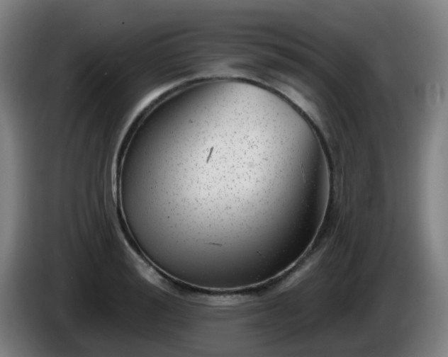 X0000086100988200703301211