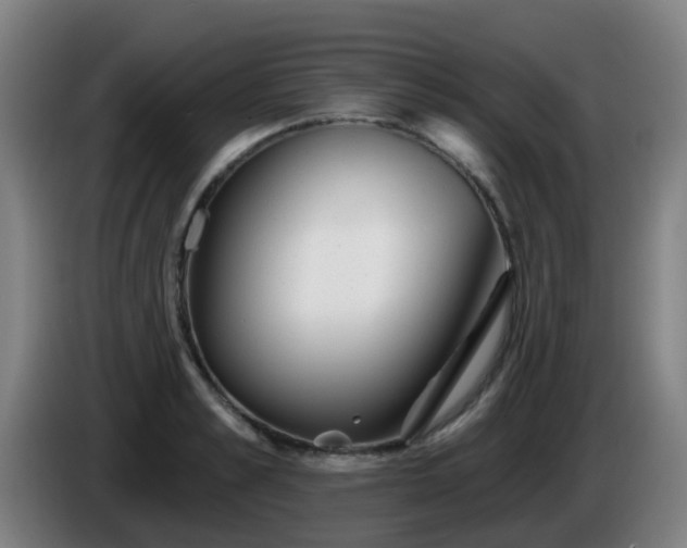 X0000086100989200703301211