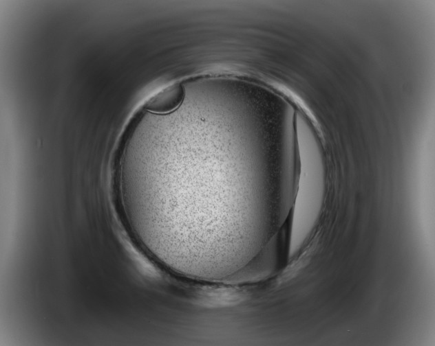 X0000086100991200703301211