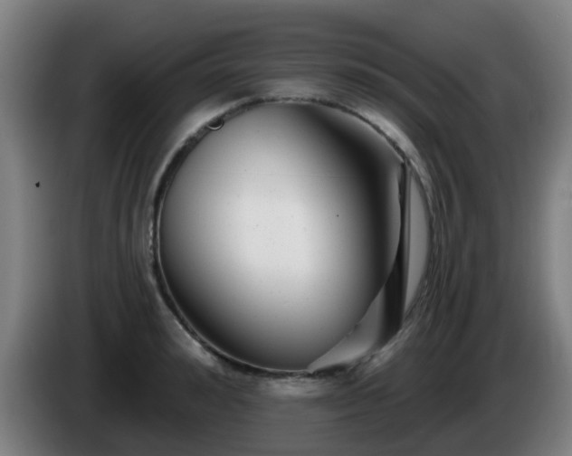 X0000086100992200703301211