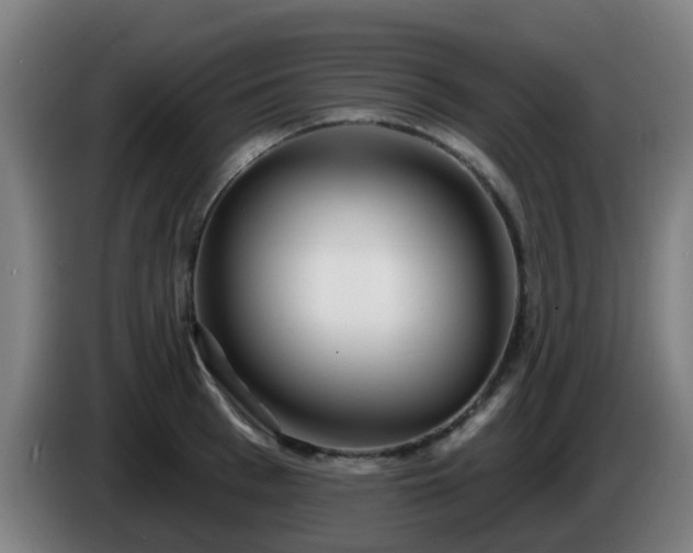 X0000086100993200703301211