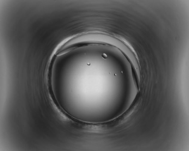 X0000086100995200703301211