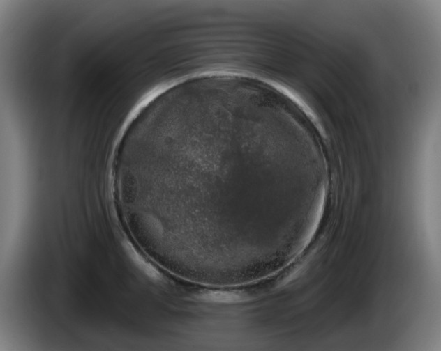 X0000086100998200703301211