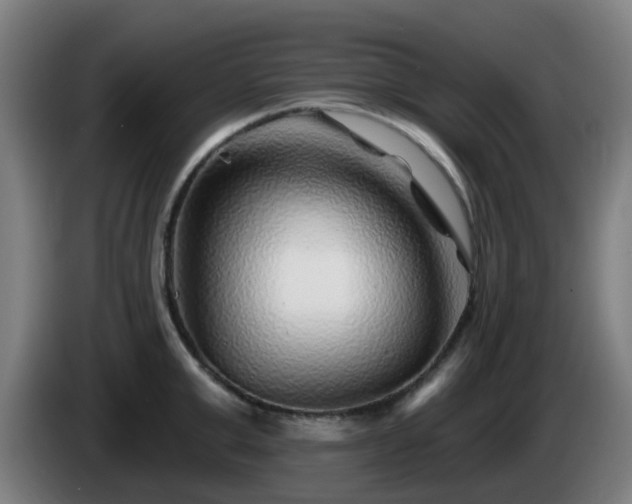 X0000086100999200703301211