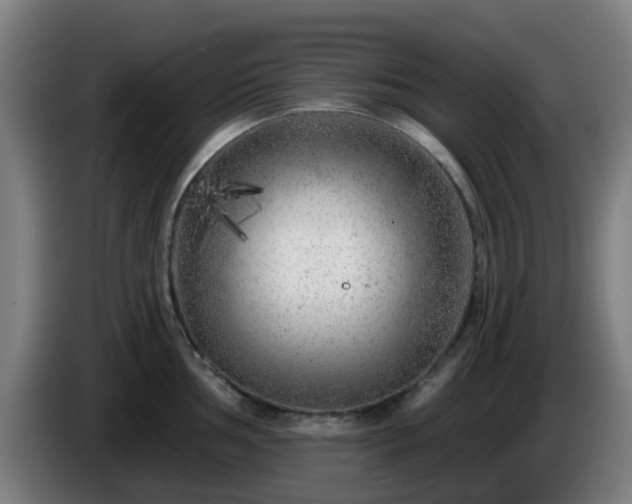 X0000086101002200703301210