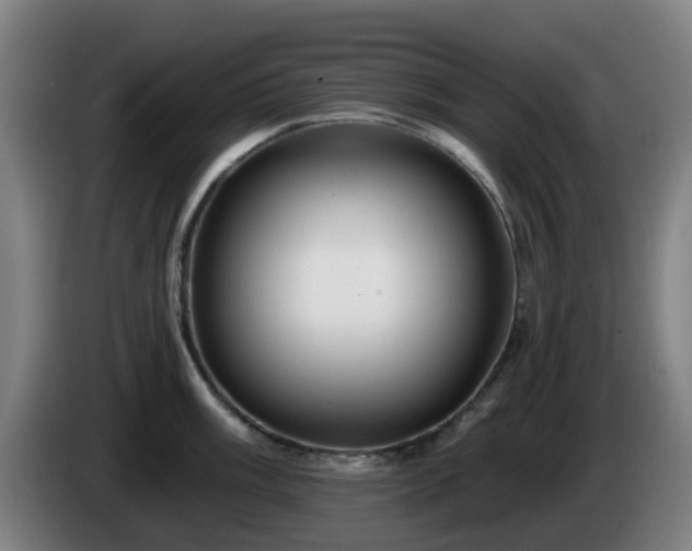 X0000086101003200703301210