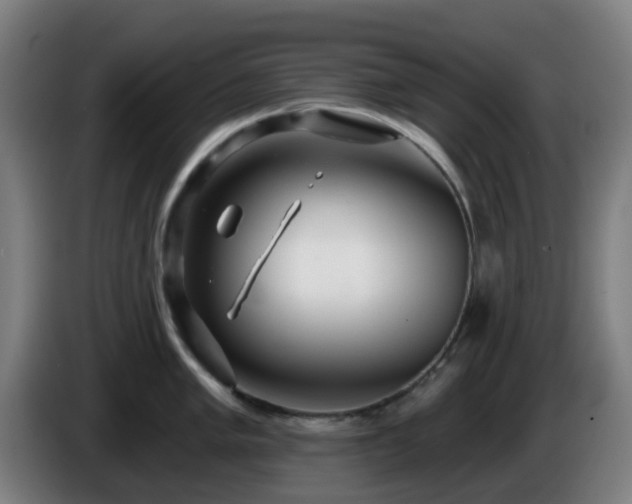 X0000086101005200703301210