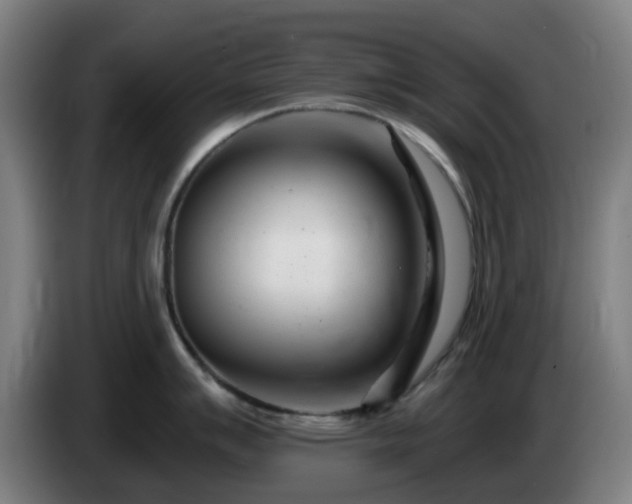 X0000086101007200703301210