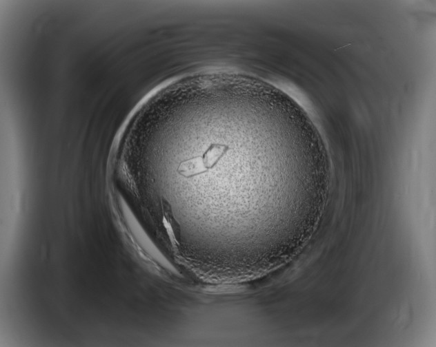 X0000086101008200703301210