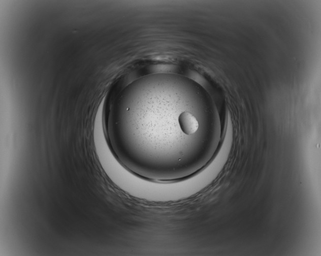 X0000086101010200703301210