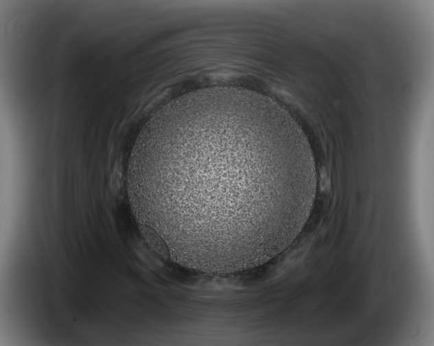 X0000086101011200703301210