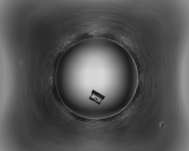 X0000086101012200703301210