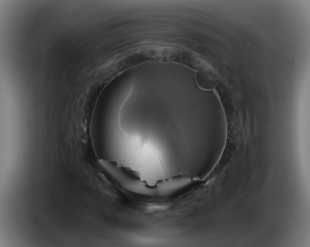 X0000086101013200703301210